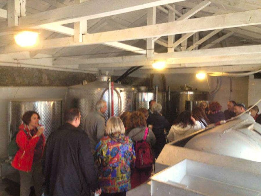 Kalogris Winery guide presenting tourists the plant